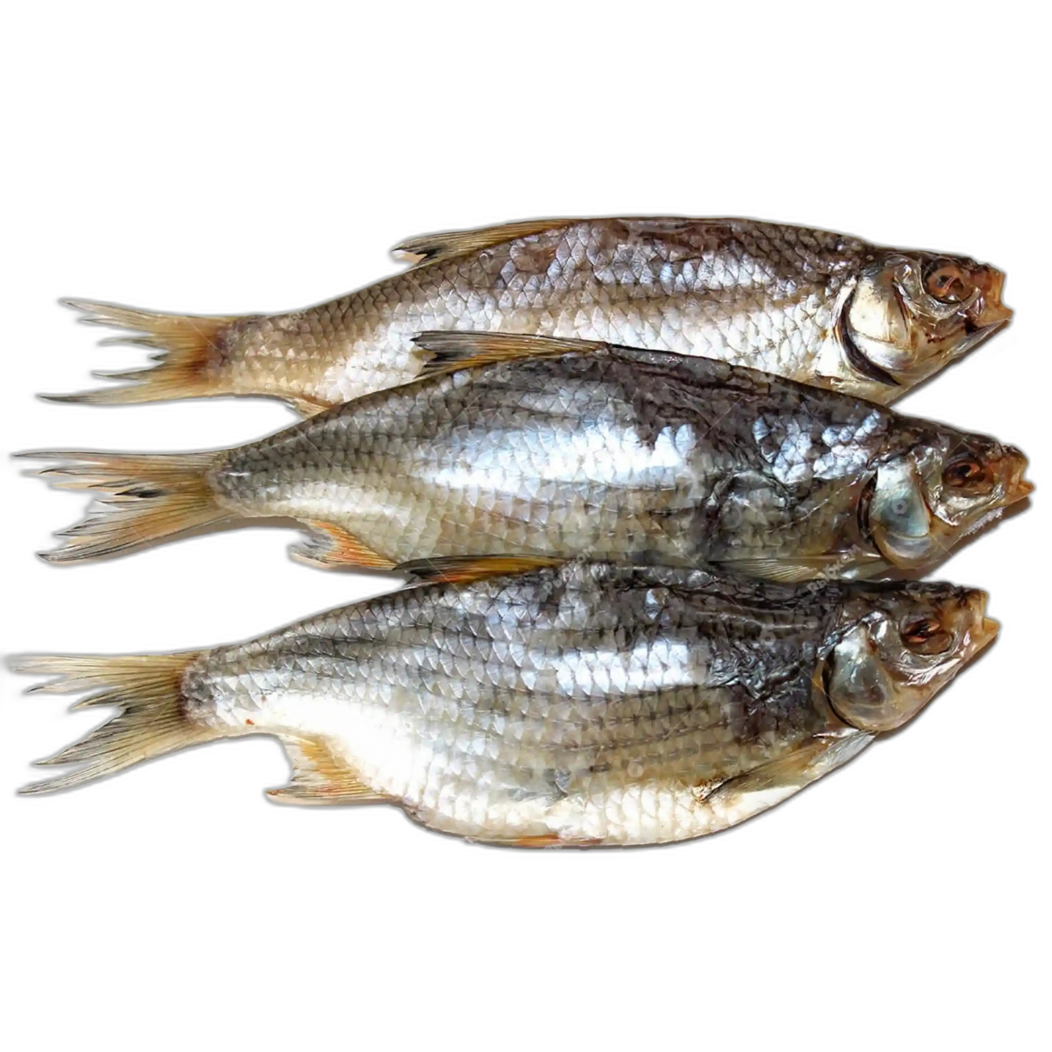 Shop Plotice sušená nekuchaná, 1kg/3 kg